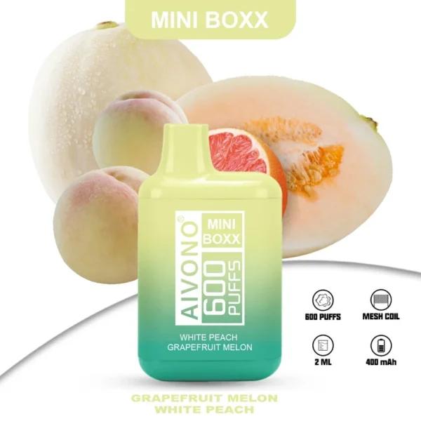 AIVONO AIM MINI BOXX 600 Bouffées 10