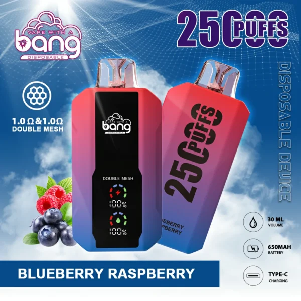 Bang 25000 Pufs 10