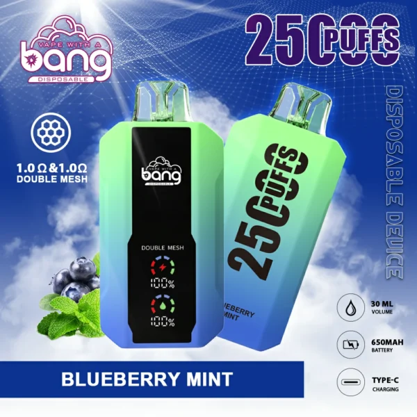 Bang 25000 Pufs 5