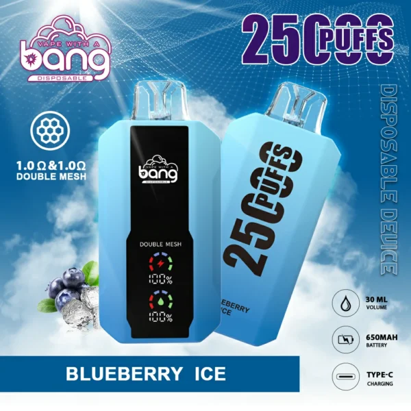 Bang 25000 Pufs 6