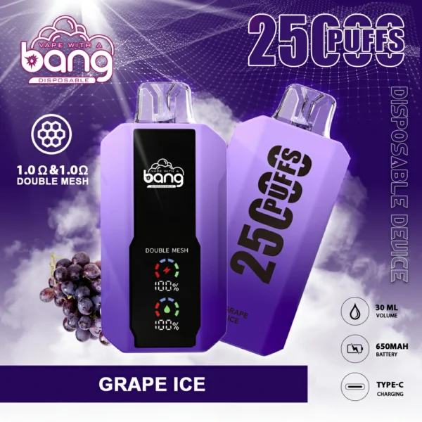 Bang 25000 Pufs 9
