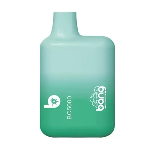 Bang Bc 5000 bocanadas 2